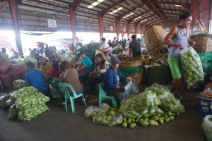 Benguet town mayor vows strict ‘no plastic’ regulation